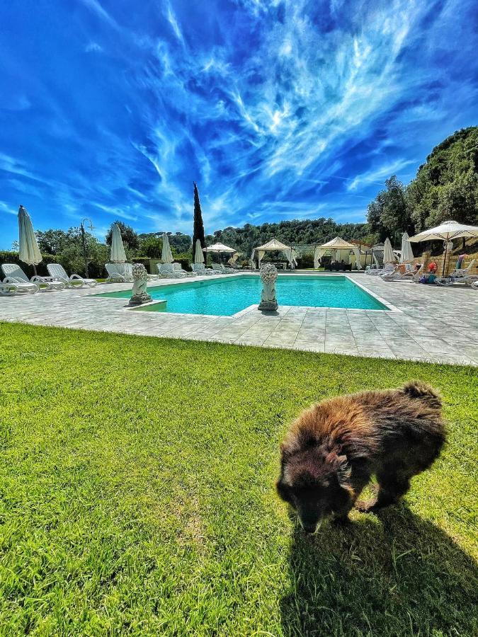 Apartmán Il Casolare Val Di Mare Riparbella Exteriér fotografie