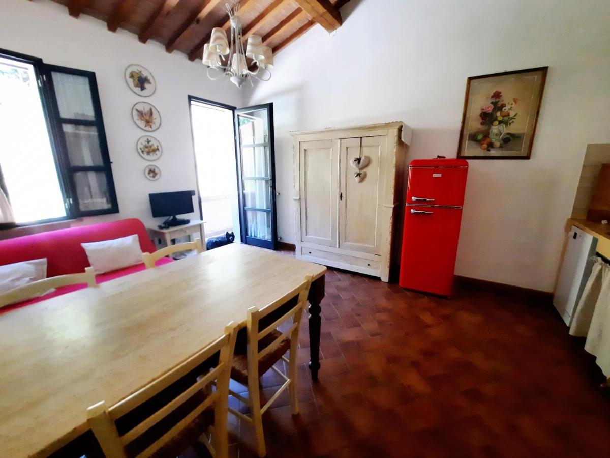 Apartmán Il Casolare Val Di Mare Riparbella Exteriér fotografie
