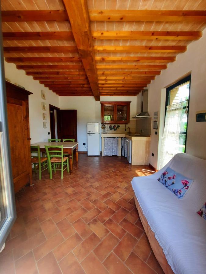 Apartmán Il Casolare Val Di Mare Riparbella Exteriér fotografie