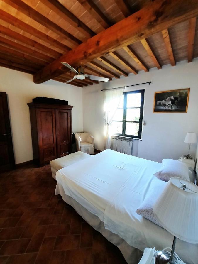 Apartmán Il Casolare Val Di Mare Riparbella Exteriér fotografie